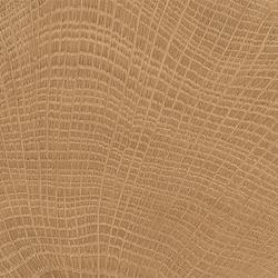 W-Circles - Walnut W-Circles - Walnut