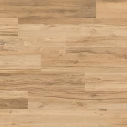 Provoak - Quercia Recuperata