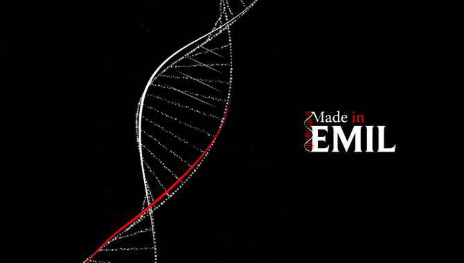 Relive the magic of the Made in Emil 2024 event!